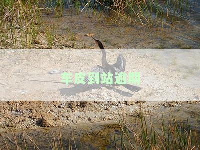 车皮到站逾期-逾期车票可以退吗