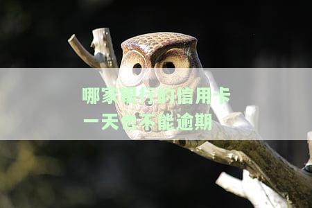 哪家银行的信用卡一天也不能逾期还款？重要提示！