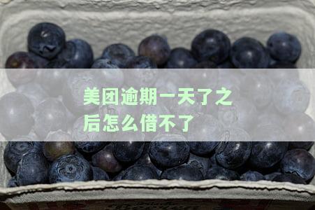 美团逾期一天了之后怎么借不了款了，美团贷款逾期一天后，为何无法再借款？