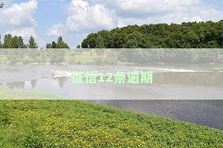征信12次逾期怎么消除，如何消除征信12次逾期记录？