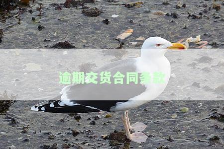 如何编写有效的逾期交货合同？详细步骤解析