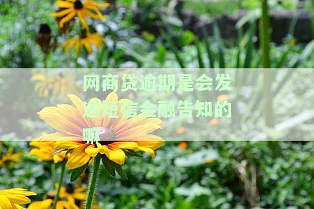 网商贷逾期是会发送短信金融告知的嘛-网商贷逾期是会发送短信金融告知的嘛