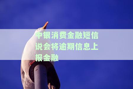 中银消费金融贷款逾期真的会上门催收吗？