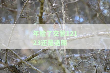 已经年检了,12123仍显示逾期，如何解决？