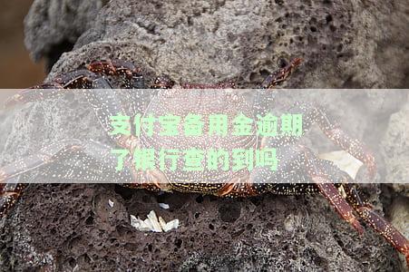 支付宝备用金逾期了银行查的到吗，支付宝备用金逾期，银行会查询吗？