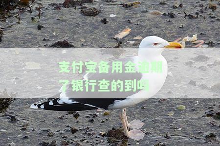 支付宝备用金逾期会影响银行贷款吗，支付宝备用金逾期是否会影响银行贷款？