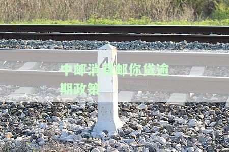 中邮消费金融邮你贷逾期多久会被起诉？逾期一天会否上征信？逾期8天被通知取消分期！