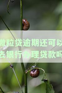微粒贷逾期后能否在银行贷款？安全性如何？