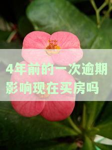 四年前的一个逾期影响房贷吗，逾期四年，是否会影响您的房贷申请？