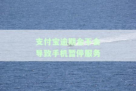 支付宝已逾期会有哪些后果？