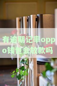 0ppo钱包逾期催收害吗，警惕！逾期催收手究竟有多严？