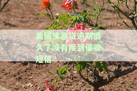 美团生意贷逾期很久了没有接到催收短信怎么办，美团生意贷长时间未收到催收短信，应该如何处理？