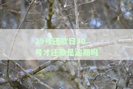 29号还款日30号才还款是逾期吗为什么，30号还款算逾期？解析29号还款日与逾期的关系