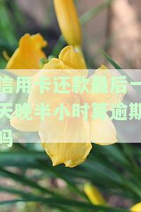 信用卡还款最后一天晚半小时算逾期吗会怎么样，信用卡还款逾期半小时会产生什么影响？