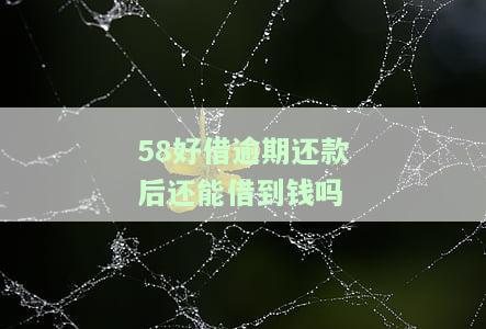 58好借逾期还款后还能借到钱吗？真的安全吗？