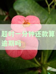 超时一分还款算逾期吗，一分的超时是否算作逾期？——关于还款期限的探讨