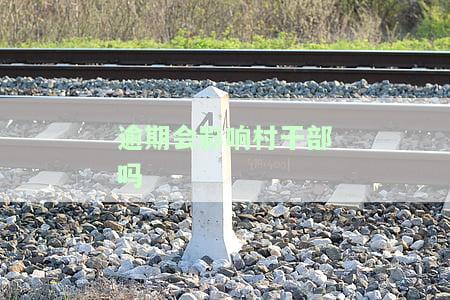 逾期会影响村干部吗，逾期行为是否会影响村干部的仕途？