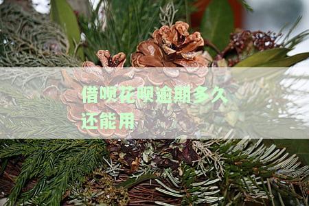 花呗借呗逾期后还款，多久能恢复额度并恢复正常使用？