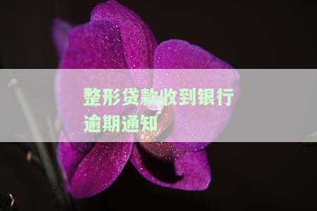 贷款逾期后接到通知，如何处理？