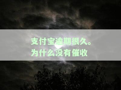 支付宝逾期很久。为什么没有催收