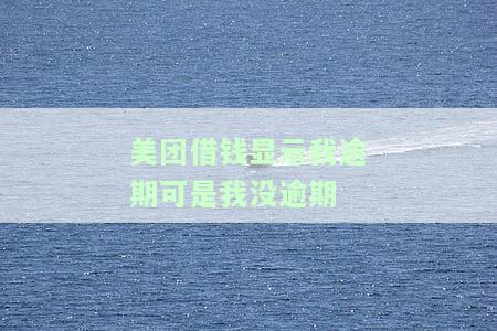 美团借钱显示我逾期可是我没逾期