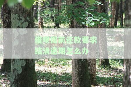 借呗提前还款有无违约金？如何计算及费用多少？