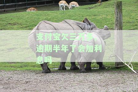 支付宝欠三万多,逾期半年了会加利息吗