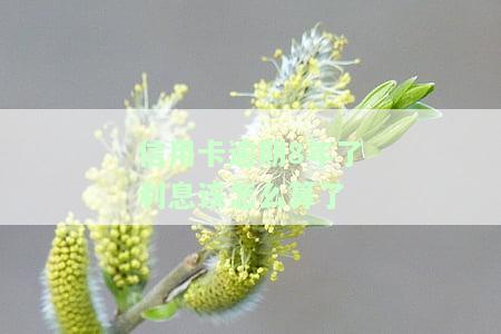 8万信用卡逾期一年利息计算方法及罚息规定
