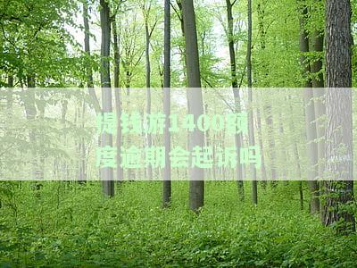 提钱游1400额度逾期会起诉吗-提钱游逾期1200会被起诉吗