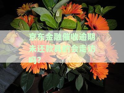 京东金融催收逾期未还款真的会走访吗？知乎用户分享经验与看法