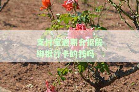 支付宝逾期会扣除银行卡吗？安全吗？怎么办？
