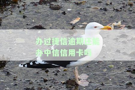 捷信有过逾期还能办理他们家的贷款吗，捷信贷款：逾期记录是否会影响再次申请？