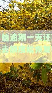 中信逾期一天还款进去额度能恢复吗?-中信逾期一天还款进去额度能恢复吗安全吗