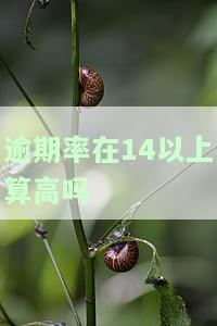 逾期率在14以上算高吗，逾期率高于14%被视为较高水平