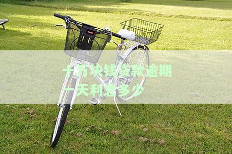 10万贷款逾期一天罚息多少，了解贷款逾期罚息：10万元贷款逾期一天会罚多少钱？