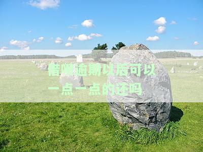 借呗逾期之后可以只还本金吗，借呗逾期后，能否只偿还本金？