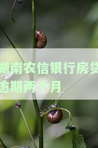农信房贷逾期一天，不要忽视！农信房贷逾期一天的严重后果