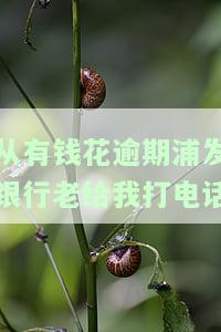 从有钱花逾期浦发银行老给我打电话是真的吗，是真的吗？浦发银行为何频繁给有钱花逾期用户打电话催款？