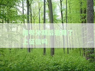 借呗分期逾期,会不会让一次把全部还，借呗分期逾期：会一次性要求全额还款吗？