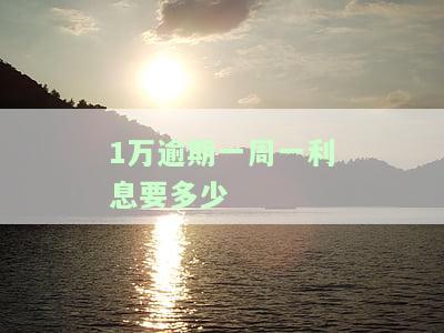 1万逾期一周一利息要多少钱，计算逾期一周后的利息：一万块需要支付多少？