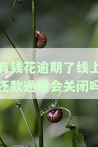 有钱花逾期了线上还款通道会关闭吗