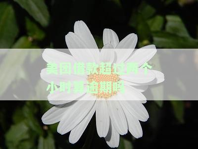 美团借款超过两个小时算逾期吗？后果严重！