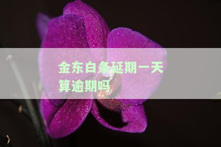金东白条期一天算逾期吗怎么办，金东白条期一天是否算逾期？解决方案大揭秘！