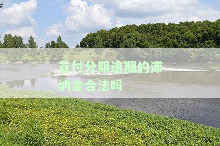 首付款滞纳金，未按时支付首付款？小心被收取高额滞纳金！