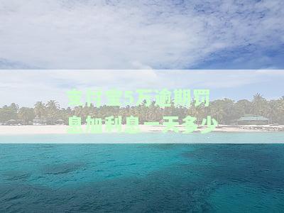 支付宝5万逾期罚息加利息一天多少钱？5000逾期一个月总金额多少？
