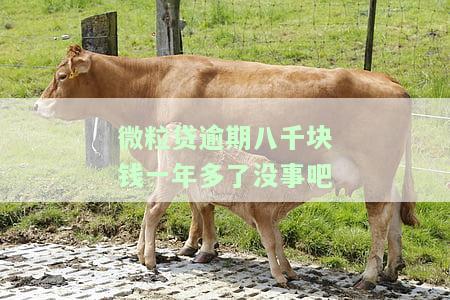 微粒贷逾期八千多会被起诉吗，逾期8千多元？微粒贷是否会对你提起诉讼？
