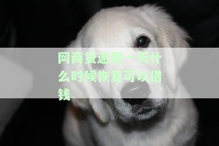 网商贷逾期一天的后果是什么？会影响信用记录和产生罚息。