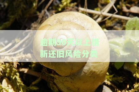 新增贷款中逾期90天以上贷款占比原因，探究新增贷款中逾期90天以上贷款占比上升的原因