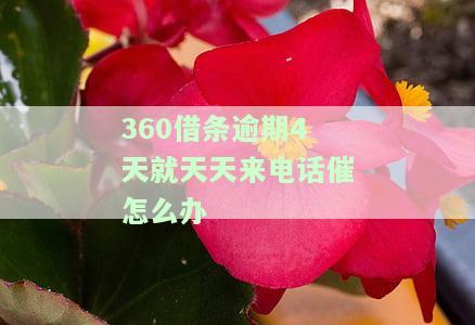 逾期五天说要打电话催收：是否真实？
