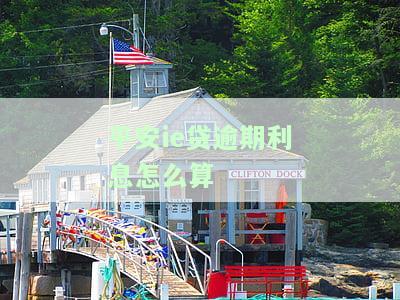 平安逾期贷款，警惕！平安逾期贷款可能带来的严重后果